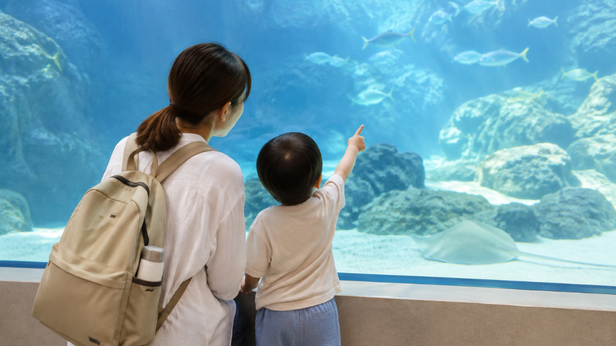 水族館で水槽を見上げる親子